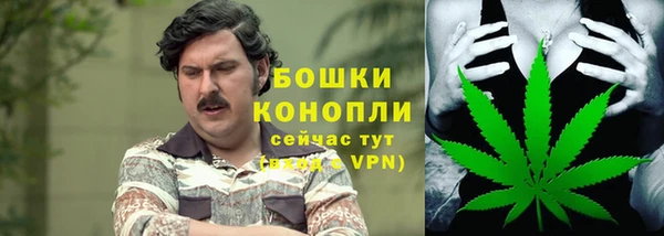apvp Арсеньев