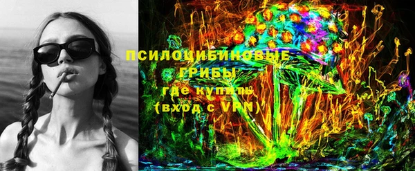 apvp Арсеньев