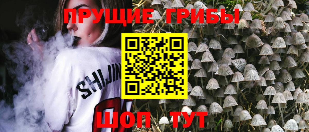 Галлюциногенные грибы мицелий  Вход с VPN  Белогорск  Псилоцибиновые грибы мицелий 